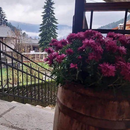 λαγουμι α3 Apartment Elati (Trikala)