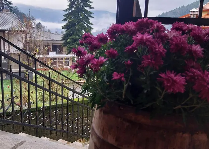 λαγουμι α3 Apartament Eláti